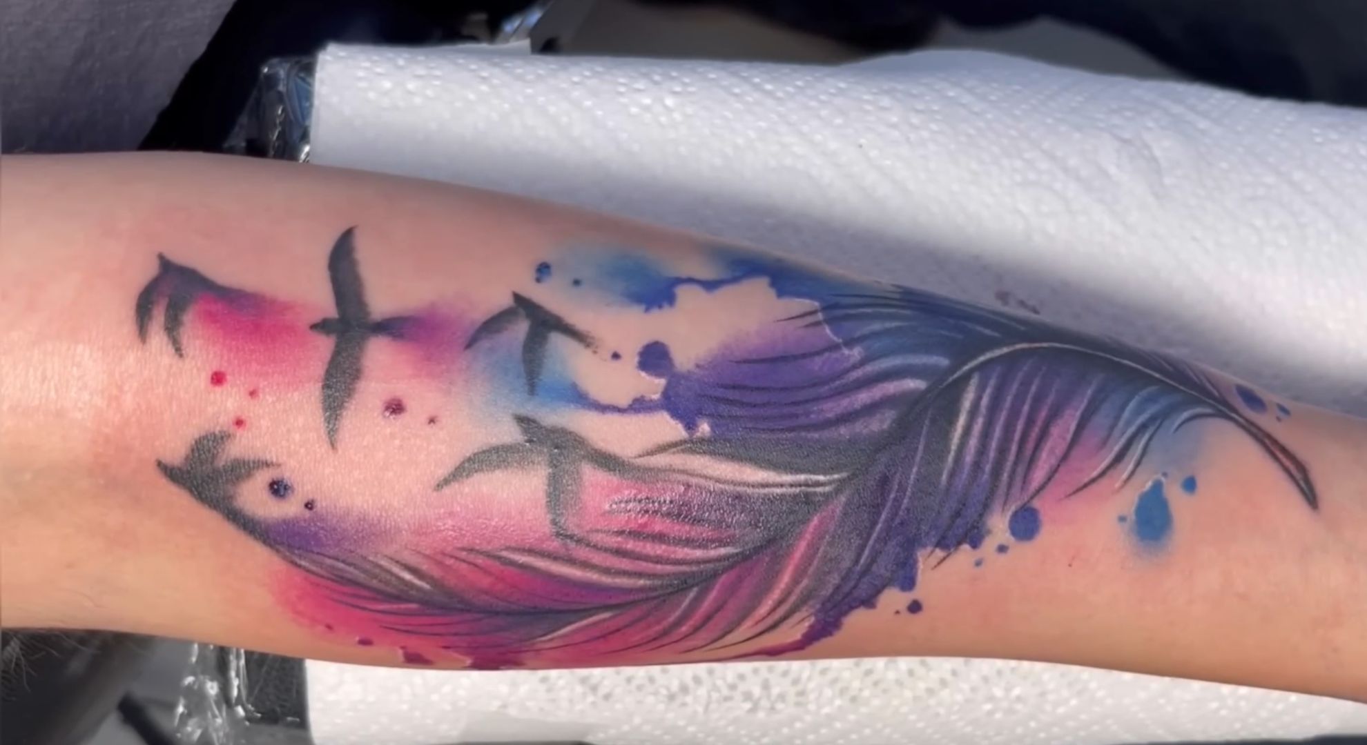 Feathers%20Turning%20Into%20Birds.jpg